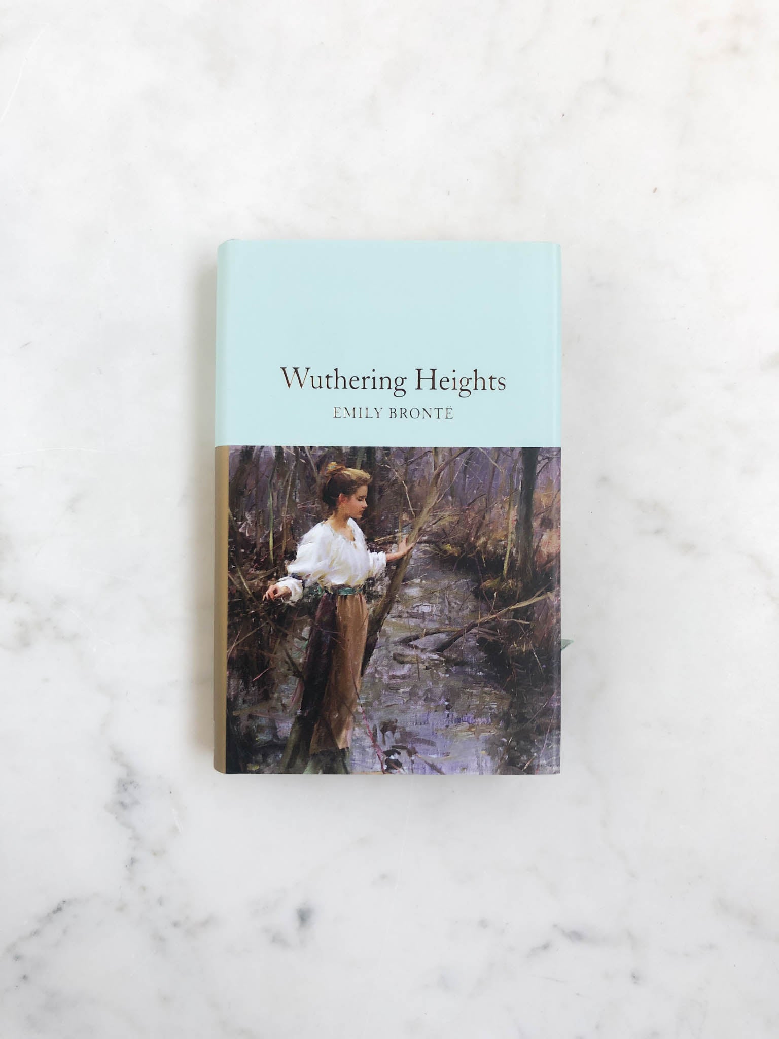 Wuthering Heights: Emily Brontë