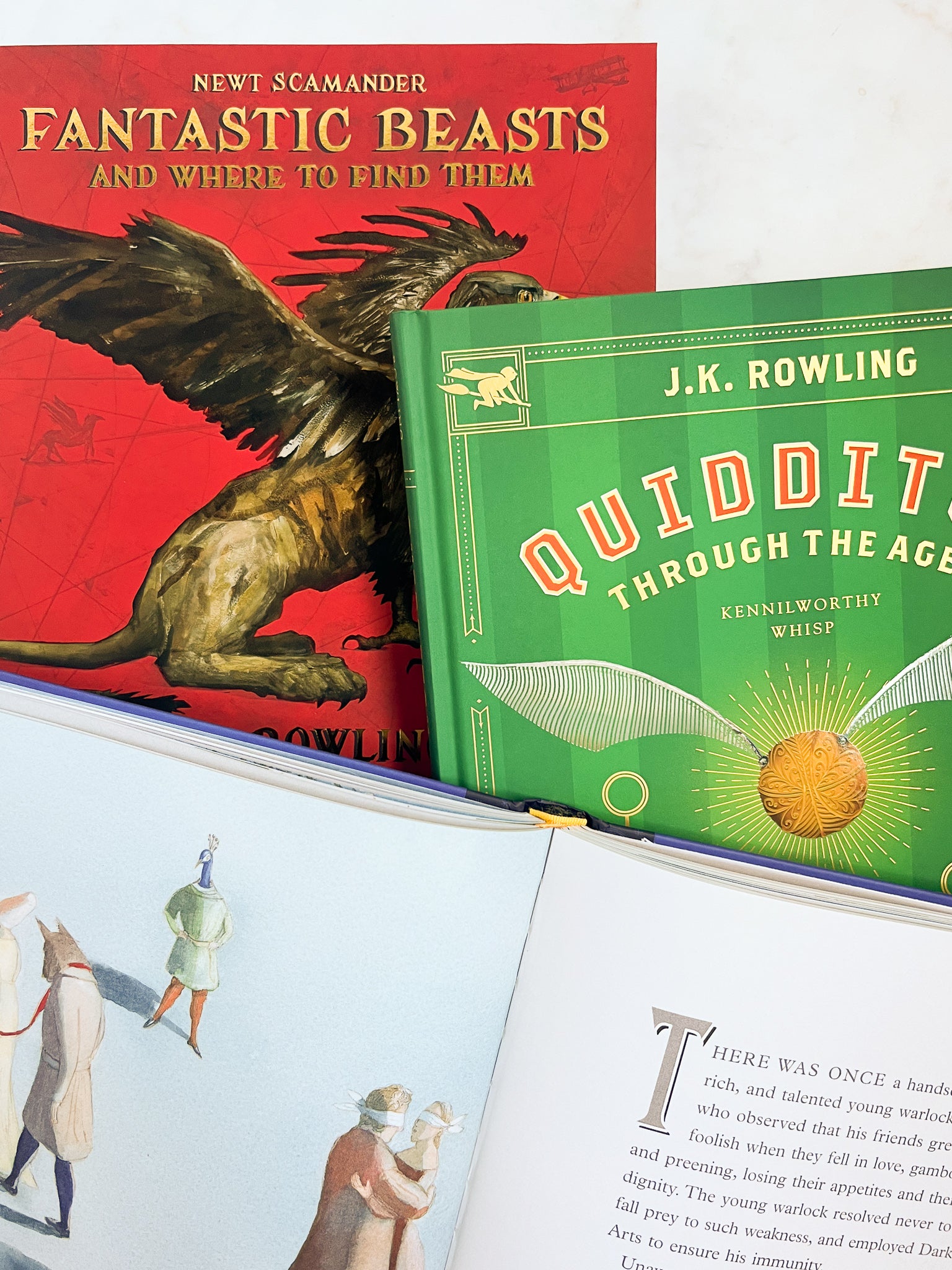 Hogwarts Illustrated Library Collection